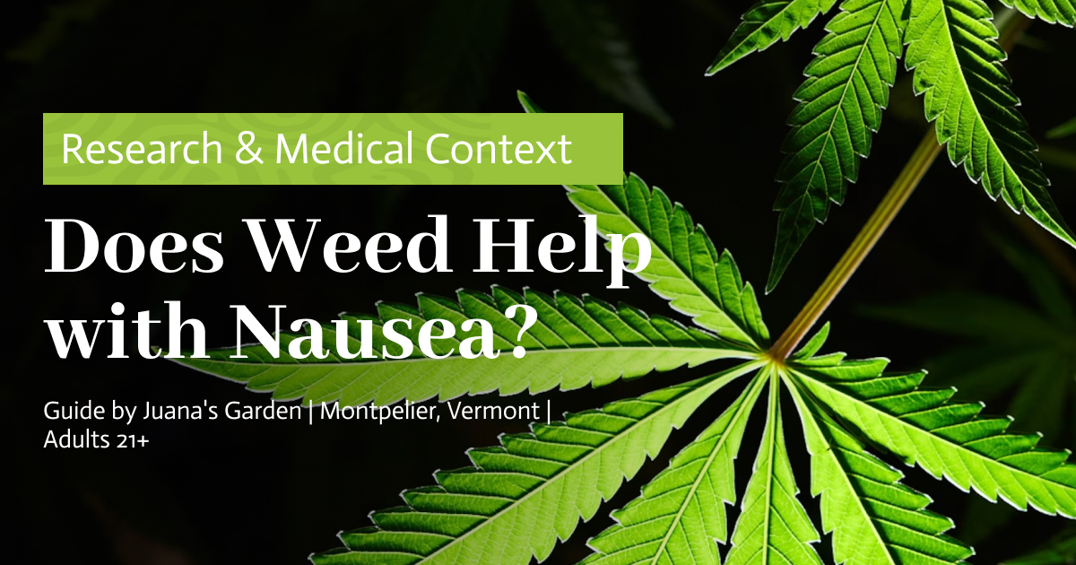 Does Weed Help with Nausea? Research & Medical Context