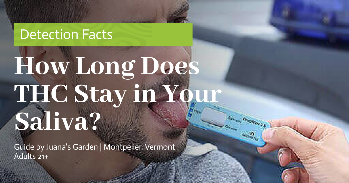 How Long Does THC Stay in Your Saliva